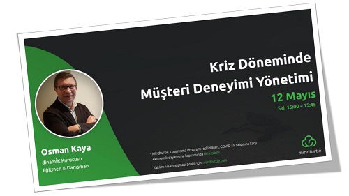 mindturtle_webinar